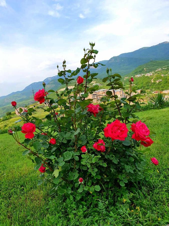 Guest House Ijevan'S Garden Dış mekan fotoğraf