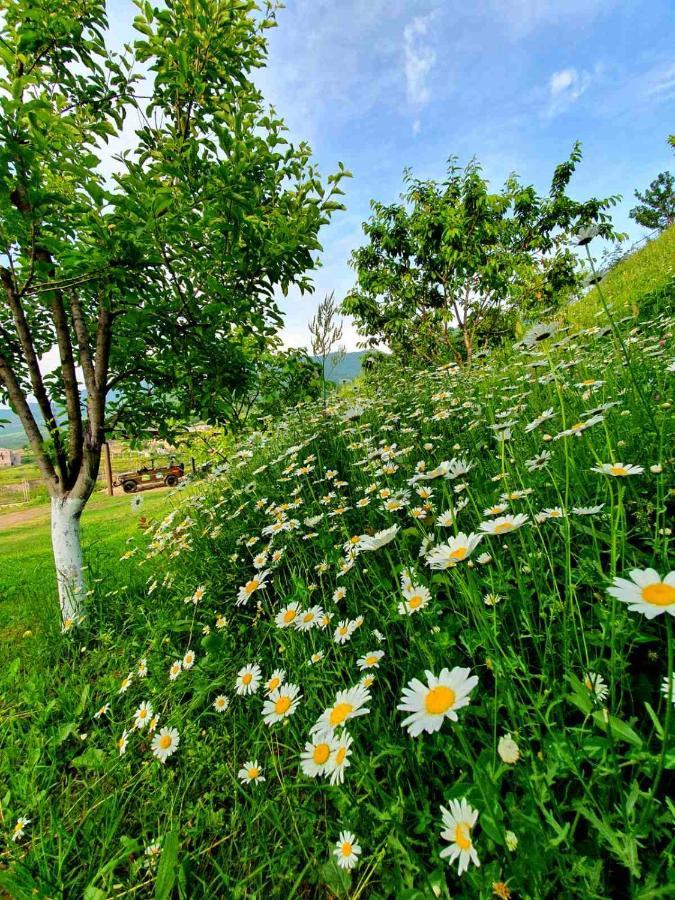 Guest House Ijevan'S Garden Dış mekan fotoğraf