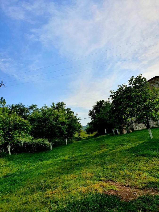 Guest House Ijevan'S Garden Dış mekan fotoğraf