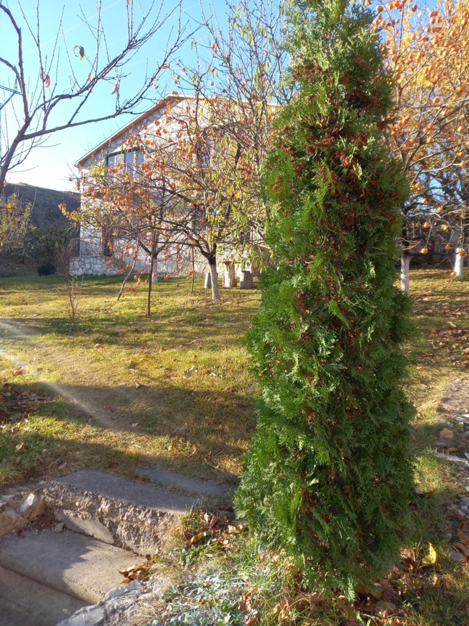 Guest House Ijevan'S Garden Dış mekan fotoğraf