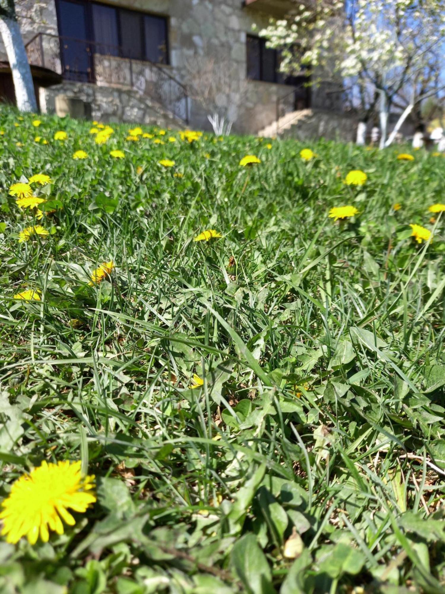 Guest House Ijevan'S Garden Dış mekan fotoğraf