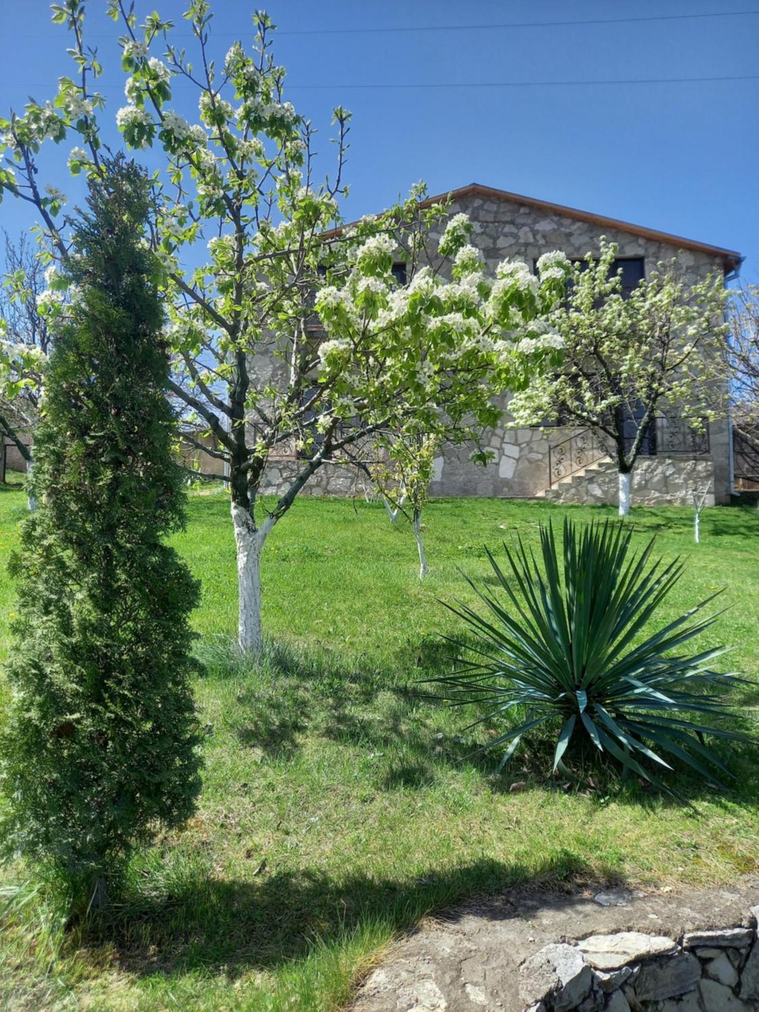 Guest House Ijevan'S Garden Dış mekan fotoğraf