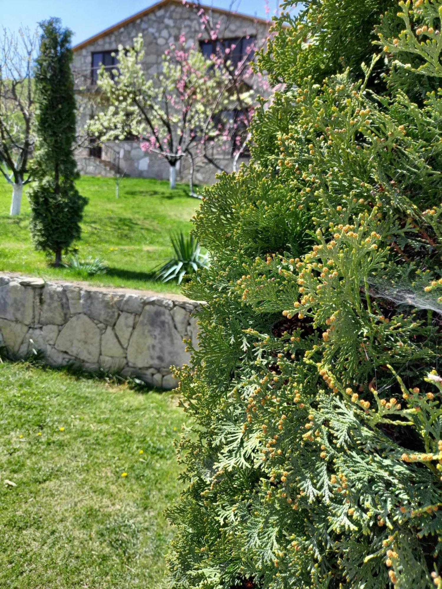 Guest House Ijevan'S Garden Dış mekan fotoğraf