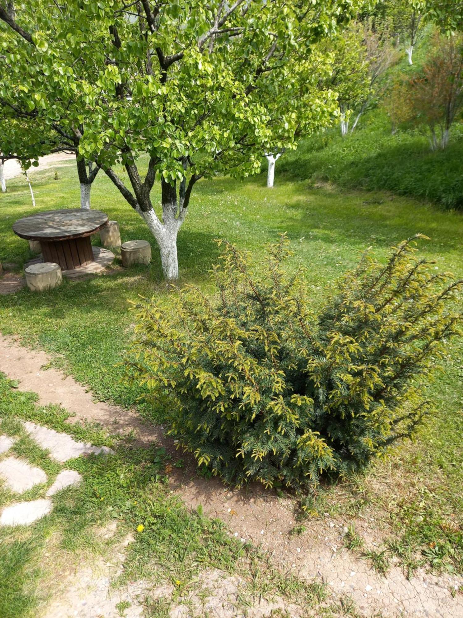 Guest House Ijevan'S Garden Dış mekan fotoğraf