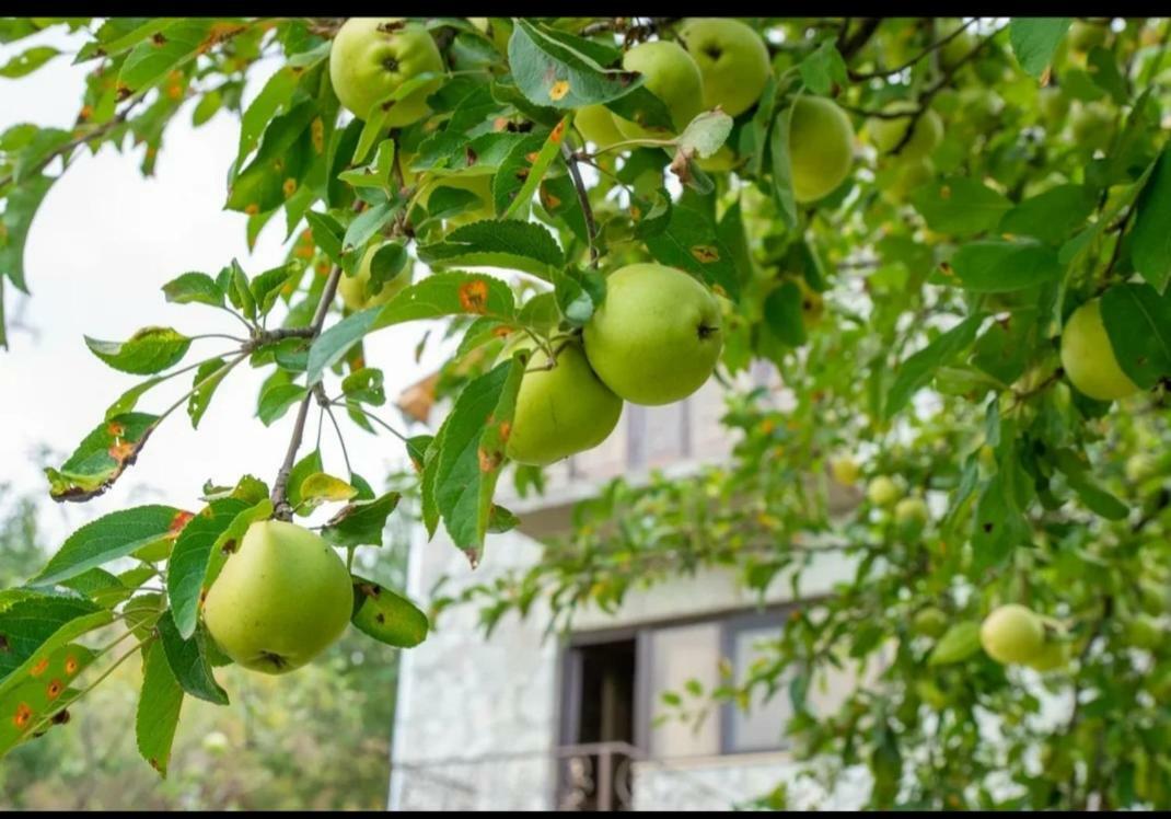 Guest House Ijevan'S Garden Dış mekan fotoğraf