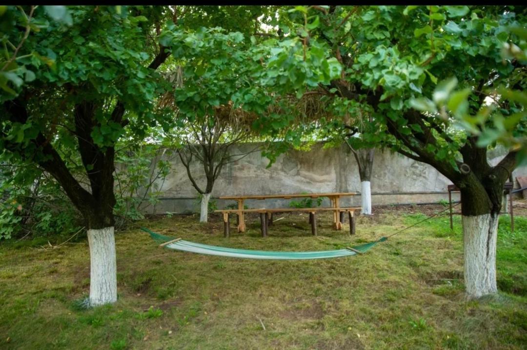 Guest House Ijevan'S Garden Dış mekan fotoğraf